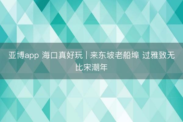 亚博app 海口真好玩 | 来东坡老船埠 过雅致无比宋潮年