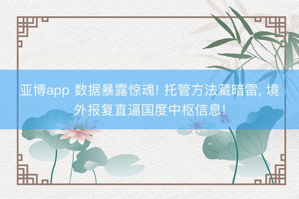 亚博app 数据暴露惊魂! 托管方法藏暗雷, 境外报复直逼国度中枢信息!