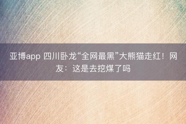 亚博app 四川卧龙“全网最黑”大熊猫走红！网友：这是去挖煤了吗