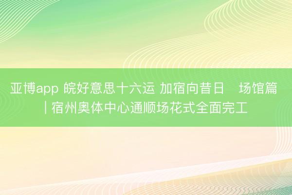 亚博app 皖好意思十六运 加宿向昔日・场馆篇 | 宿州奥体中心通顺场花式全面完工