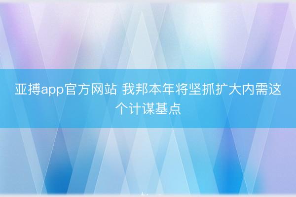 亚搏app官方网站 我邦本年将坚抓扩大内需这个计谋基点