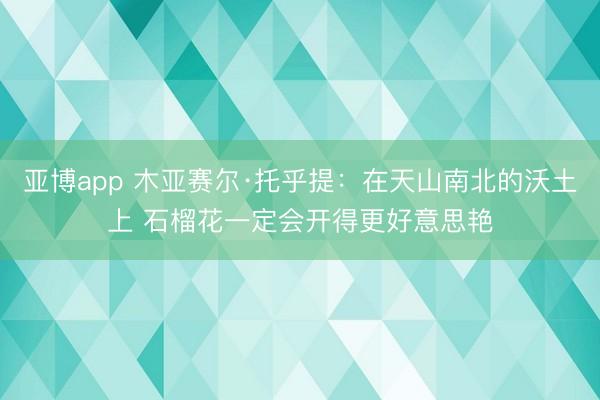 亚博app 木亚赛尔·托乎提:在天山南北的沃土上 石榴花一定会开得更好意思艳