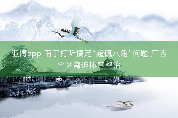 亚博app 南宁打听搞定“超硫八角”问题 广西全区蹙迫排查整治