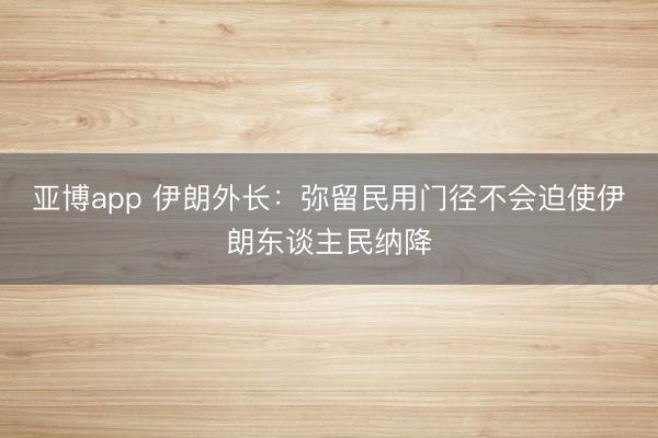 亚博app 伊朗外长：弥留民用门径不会迫使伊朗东谈主民纳降
