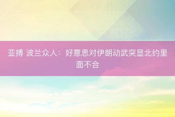 亚搏 波兰众人：好意思对伊朗动武突显北约里面不合