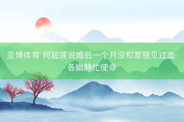 亚博体育 何超莲说婚后一个月没和窦骁见过面:各幽静忙使命