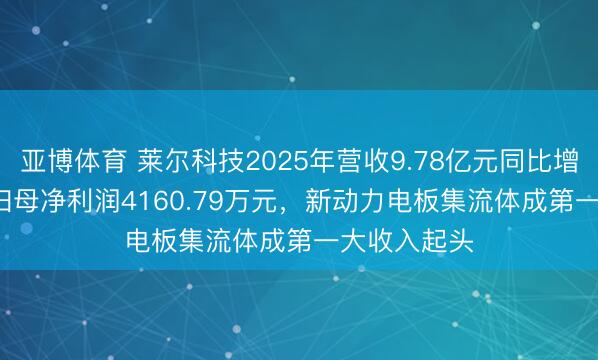 亚博体育 莱尔科技2025年营收9.78亿元同比增85.97%，归母净利润4160.79万元，新动力电板集流体成第一大收入起头