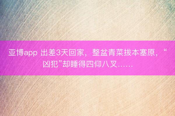 亚博app 出差3天回家，整盆青菜拔本塞原，“凶犯”却睡得四仰八叉……