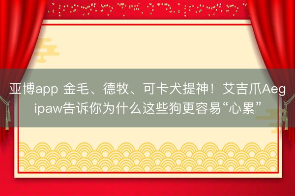 亚博app 金毛、德牧、可卡犬提神！艾吉爪Aegipaw告诉你为什么这些狗更容易“心累”
