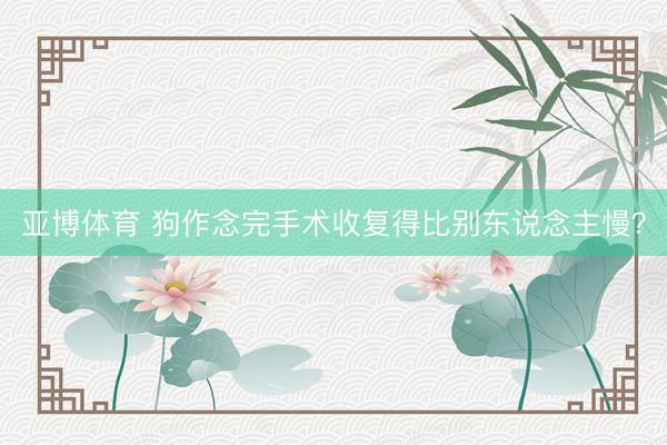 亚博体育 狗作念完手术收复得比别东说念主慢？