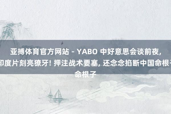 亚搏体育官方网站 - YABO 中好意思会谈前夜， 印度片刻亮獠牙! 押注战术要塞， 还念念掐断中国命根子