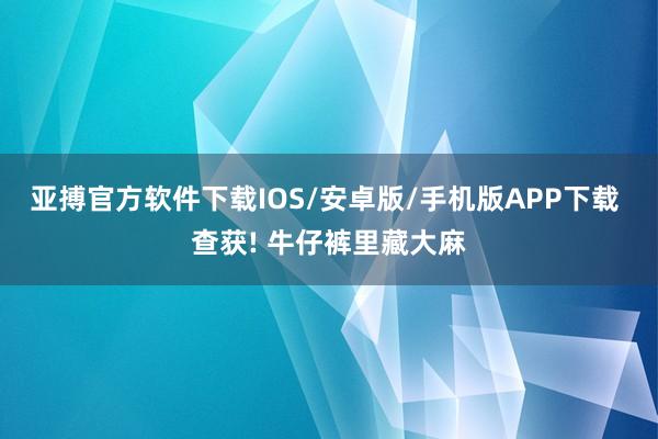 亚搏官方软件下载IOS/安卓版/手机版APP下载 查获! 牛仔裤里藏大麻