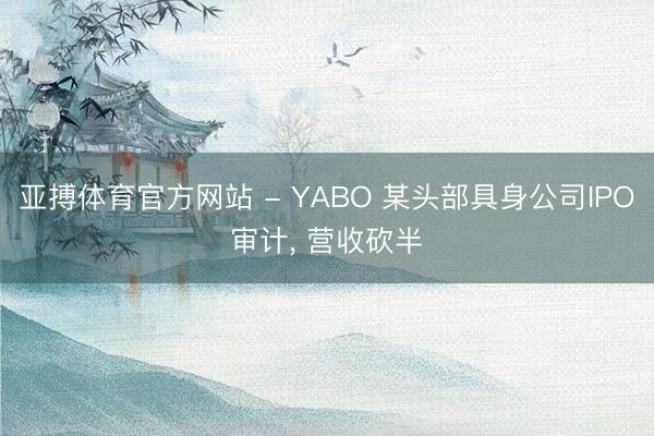 亚搏体育官方网站 - YABO 某头部具身公司IPO审计， 营收砍半