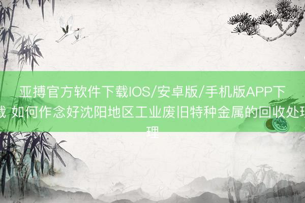 亚搏官方软件下载IOS/安卓版/手机版APP下载 如何作念好沈阳地区工业废旧特种金属的回收处理