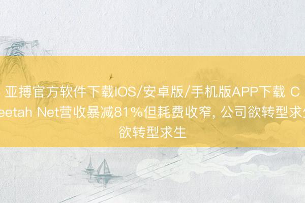 亚搏官方软件下载IOS/安卓版/手机版APP下载 Cheetah Net营收暴减81%但耗费收窄， 公司欲转型求生