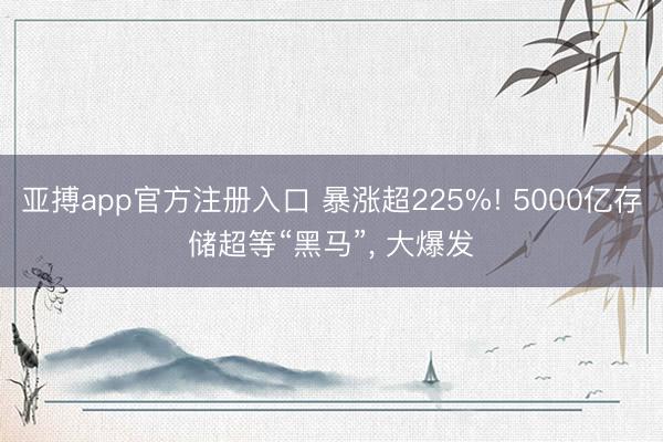 亚搏app官方注册入口 暴涨超225%! 5000亿存储超等“黑马”， 大爆发