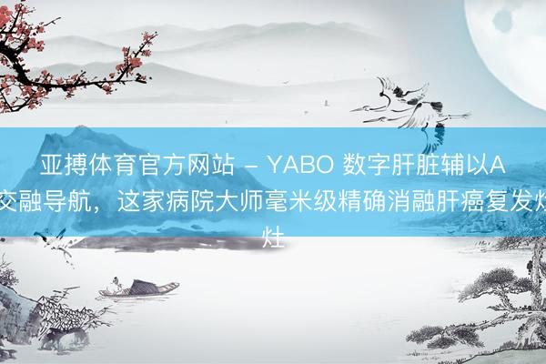 亚搏体育官方网站 - YABO 数字肝脏辅以AI交融导航，这家病院大师毫米级精确消融肝癌复发灶