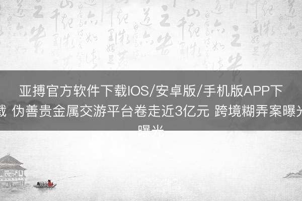 亚搏官方软件下载IOS/安卓版/手机版APP下载 伪善贵金属交游平台卷走近3亿元 跨境糊弄案曝光