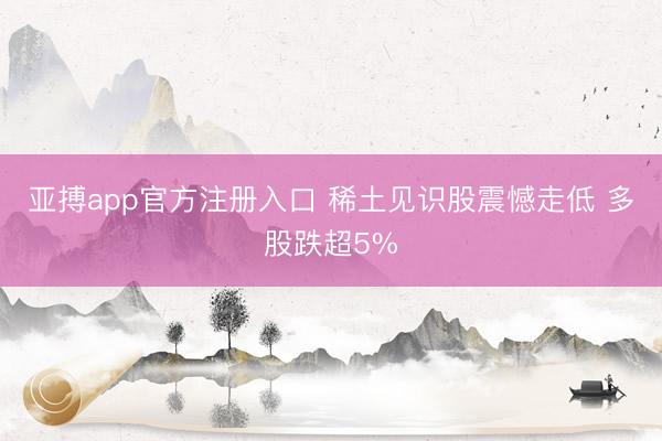 亚搏app官方注册入口 稀土见识股震憾走低 多股跌超5%