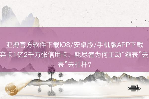 亚搏官方软件下载IOS/安卓版/手机版APP下载 三年弃卡1亿2千万张信用卡，耗尽者为何主动“缩表”去杠杆？