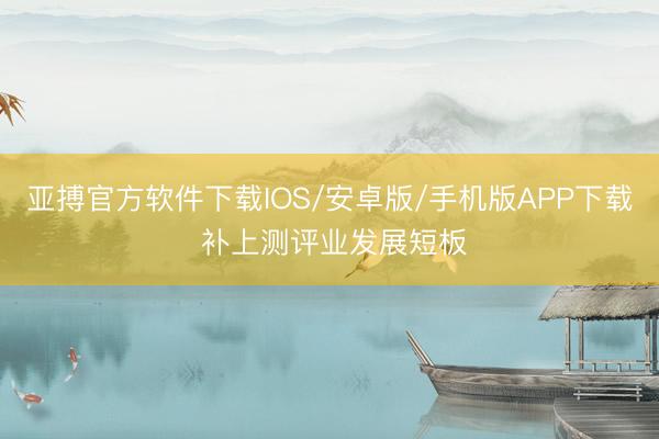 亚搏官方软件下载IOS/安卓版/手机版APP下载 补上测评业发展短板