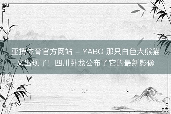 亚搏体育官方网站 - YABO 那只白色大熊猫又出现了！四川卧龙公布了它的最新影像