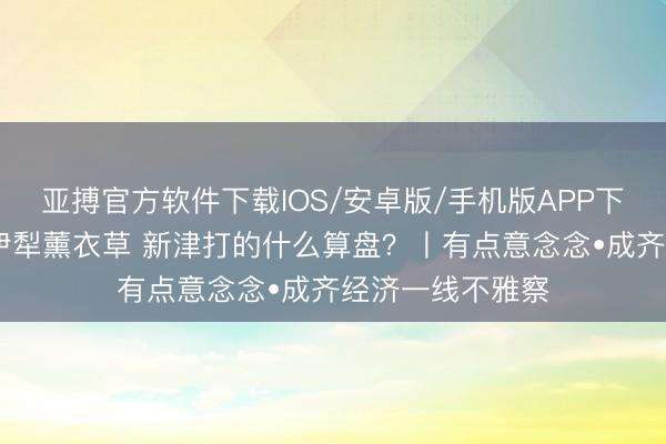 亚搏官方软件下载IOS/安卓版/手机版APP下载 沉引种新疆伊犁薰衣草 新津打的什么算盘？丨有点意念念•成齐经济一线不雅察
