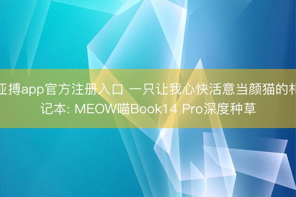 亚搏app官方注册入口 一只让我心快活意当颜猫的札记本: MEOW喵Book14 Pro深度种草